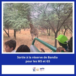 Sortie à la réserve de Bandia