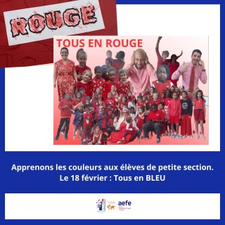 🟡🔴🔵 Exploration des couleurs en maternelle ! 🔵🔴🟡