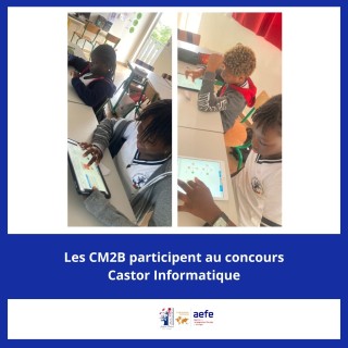Les CM2B au coeur du concours Castor Informatique