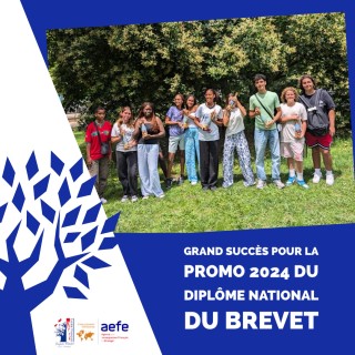 Diplome National du Brevet 2024 - Analyse Synthétique des Résultats au DNB (2023-2024)