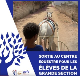 Sortie au centre équestre pour les élèves de Grande Section