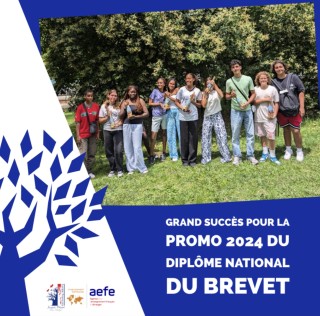Diplôme National du Brevet 2024 - Analyse Synthétique des Résultats au DNB (2023-2024)