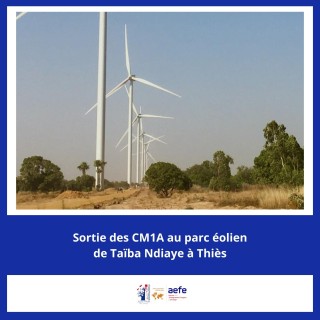 Visite du parc éolien de Taïba Ndiaye à Thiès