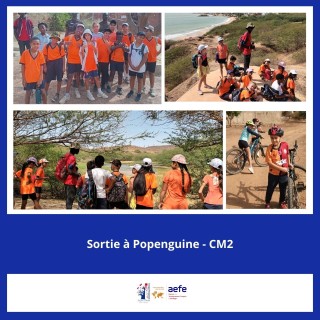 🌿🚴‍♂️ Les CM2 en sortie à Popenguine ! 🚴‍♀️🌿