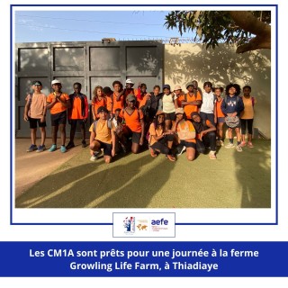 Sortie à la ferme pour les CM1A